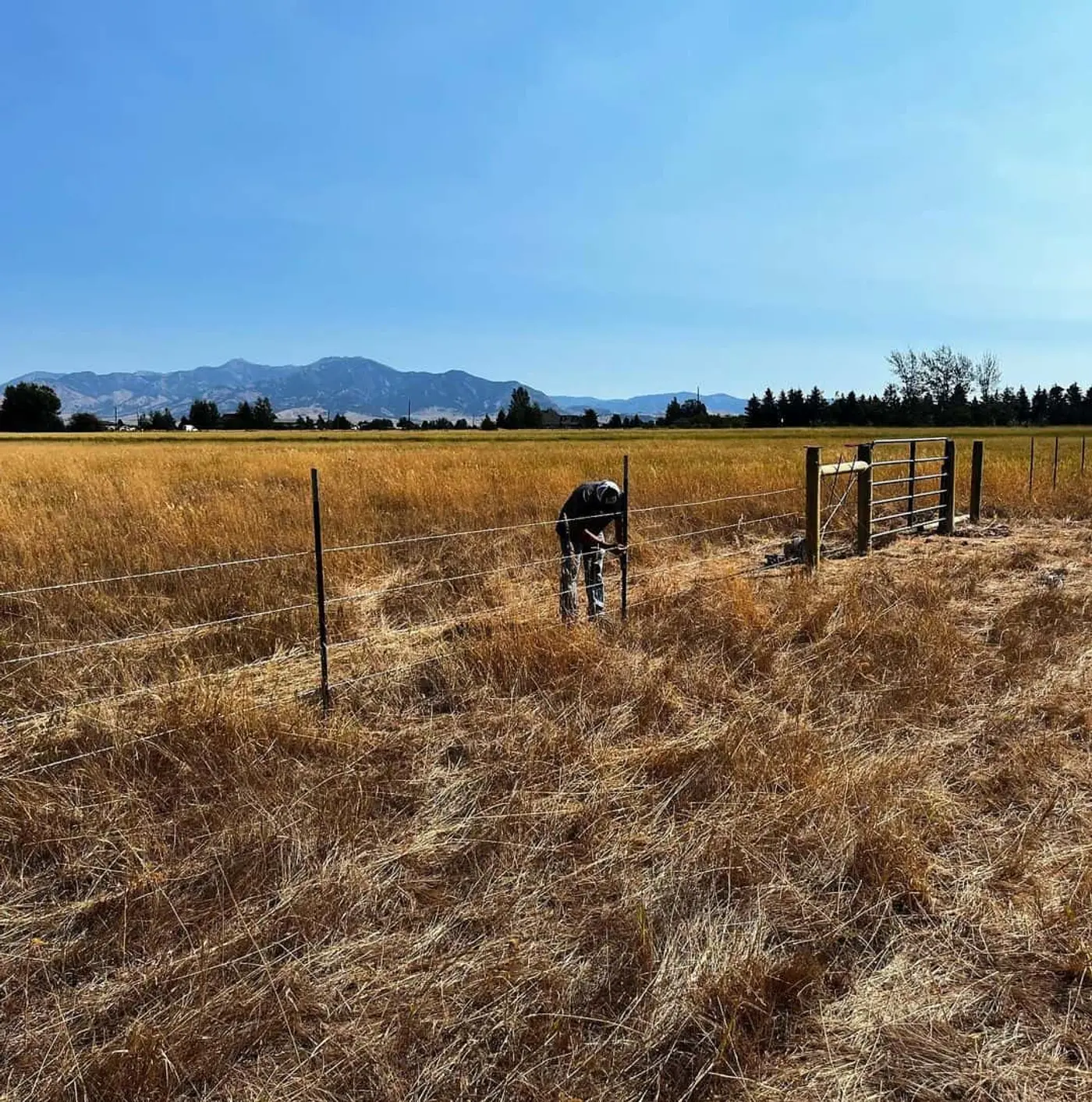 Barbed wire fence line near Big Timber, Montana