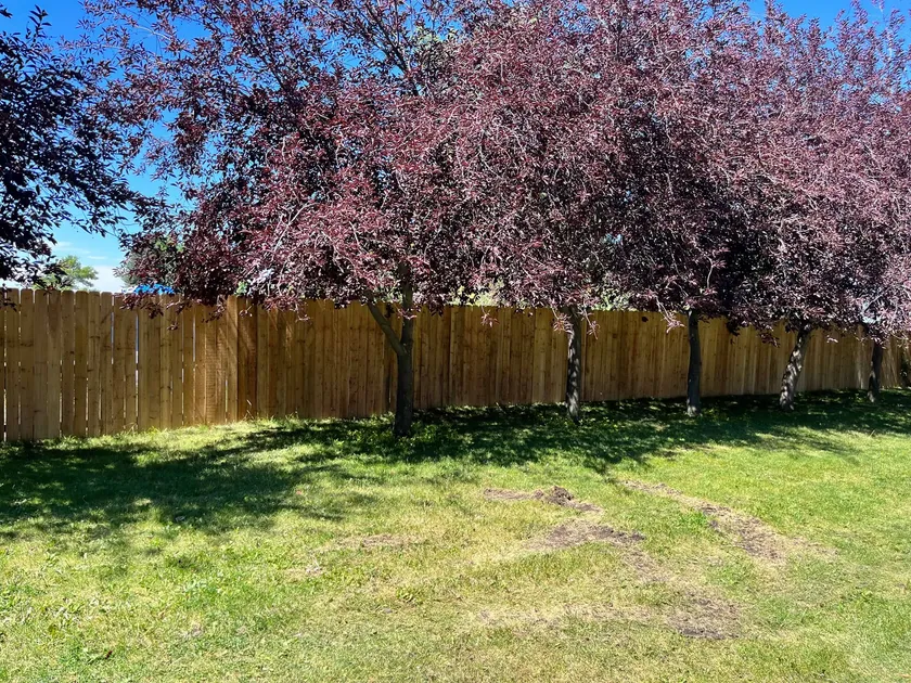 Cedar Privacy Fence project by Montana Ranch & Land in Southwest Montana — photo 5