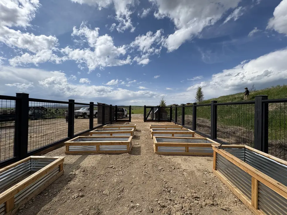 Deer-Proof Garden Enclosure, by Montana Ranch & Land Improvement Service